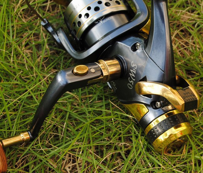 fishing reel SW50 60