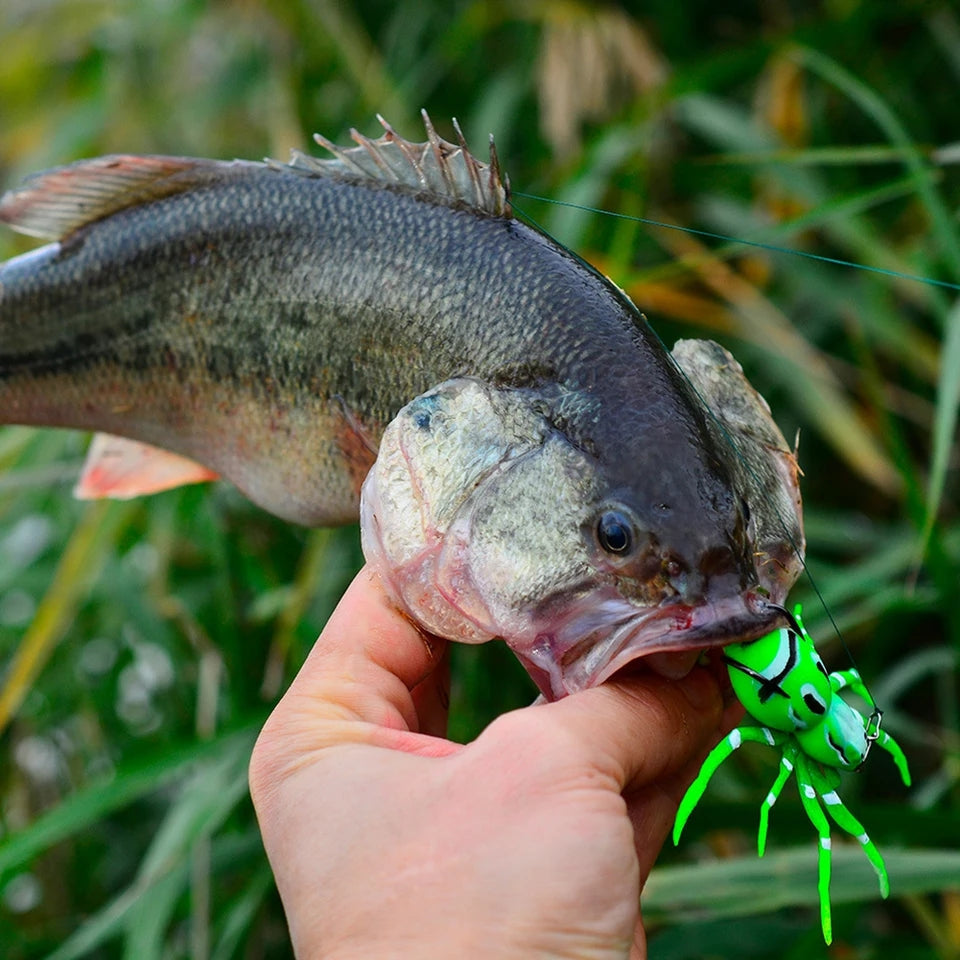 SPIDER SOFT LURE