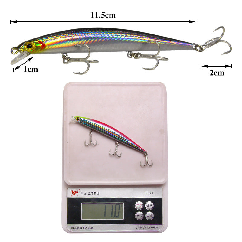 topwater fishing lure bass bait