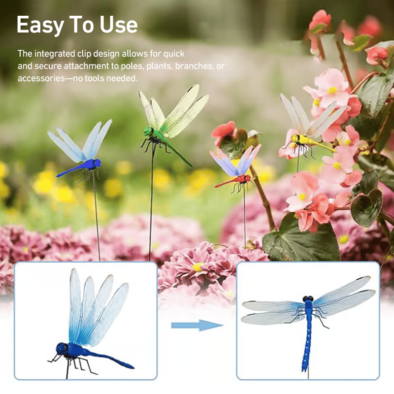 Dragonfly™