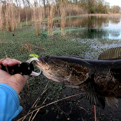 Double Propeller Frog Soft Bait