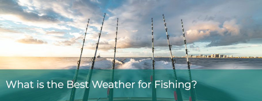What is the Best Weather for Fishing
