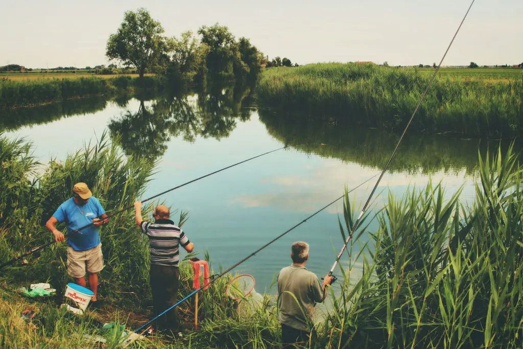Pond fishing tips - Fishermen fishing on pond