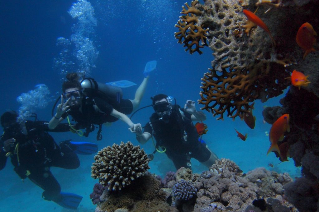 scuba dive with friends